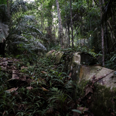 Open House With Stephen Odoherty