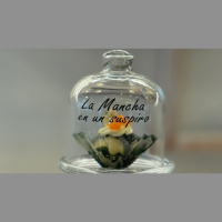 Carlos Arjona gana el III Concurso de Tapas de Albacete