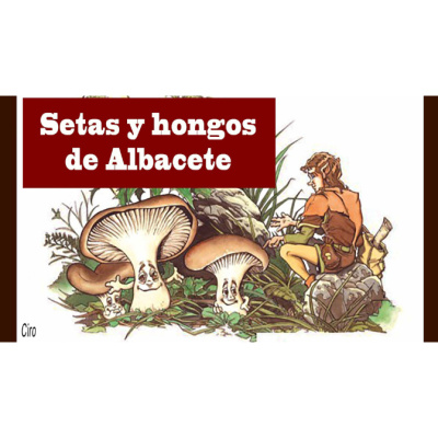 Radio Albacete
