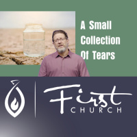 A Small Collection of Tears