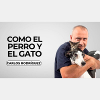 Como el perro y el gato 30/08/2025