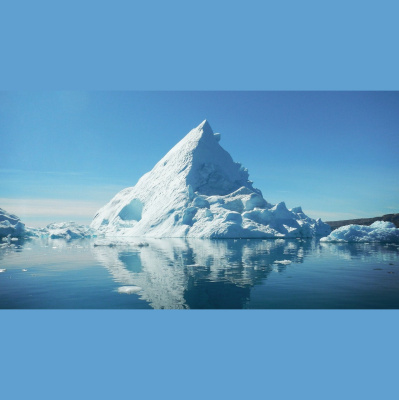 Como El Perro Y El Gato