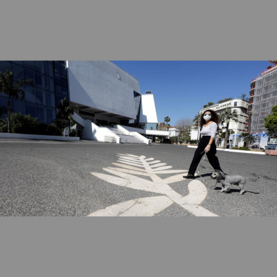 Como El Perro Y El Gato