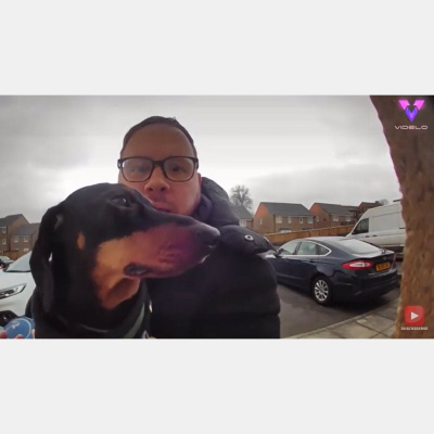 Como El Perro Y El Gato