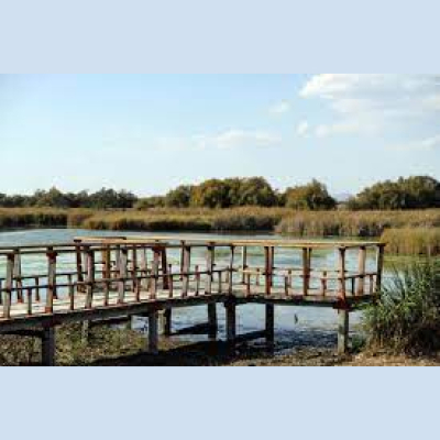 Como El Perro Y El Gato