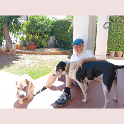 Como El Perro Y El Gato