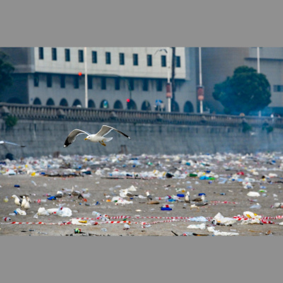 Como El Perro Y El Gato