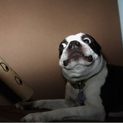 Additional Programming