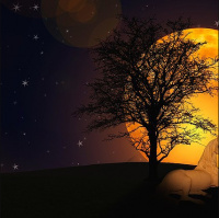 Fábulas têm importância fundamental na educação infantil