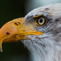 Histórias têm o poder de grudar na memória afetiva de cada um que as ouve