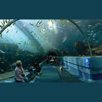 Viajes escolares con Skype 