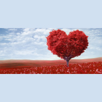 44 - Seguridad En Línea, San Valentín... Y Paul McCartney 