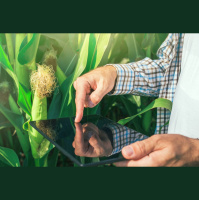 CNX, en búsqueda del nicho más grande de datos [Parte 2] 