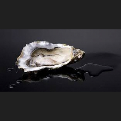 Podcast Oficial De Microsoft En Español