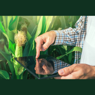 Podcast Oficial De Microsoft En Español