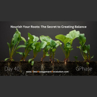Nourish Your Roots - The Secret to Creating Work-Life Balance