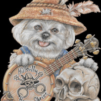 Listener Stories December 2019