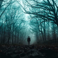 365: Nature Encounters