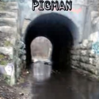 363: Pigman Road