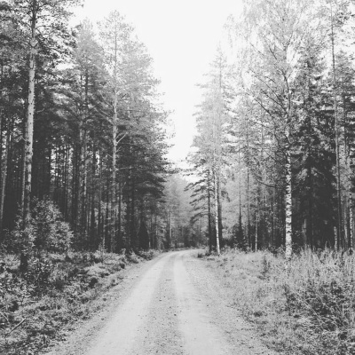 Hillbilly Horror Stories