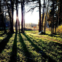 Are You Looking For A New Sport To Play?