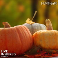 Do You Need a New, Meaningful Thanksgiving Tradition? (ep. 206)