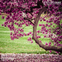 How the Last Few Weeks Have Impacted Me (Monday Moments ep. 241)