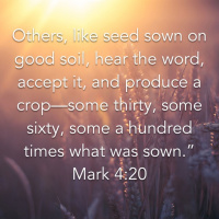 The Parable of the Good Soil
