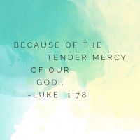 Gods Tender Mercy