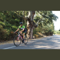 Piensa en bici: rutas cicloturistas Eurovelo