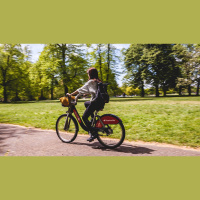 Piensa en bici: La bicicleta eléctrica, una alternativa a los traslados cortos