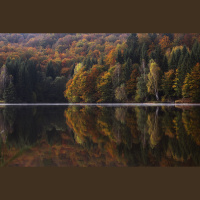 Wrapped Up in November