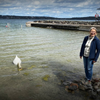 Vaalit 2022: Itämeri – tunteiden, politiikan ja ilmastokriisin näyttämö