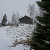 Dokumentti: Savuntuoksuinen kulttuurimatka suomalaismetsien kulta-aikaan