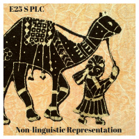 E25S5 Non-linguistic Representation Part 1 