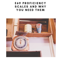 E69 Proficiency Scales And Why You Need Them 
