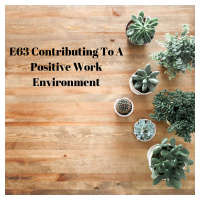 E63 Contributing To A Positive Work Environment
