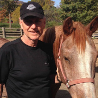 SOSH13: Steven Mattis