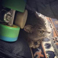 A - Bombs WFTDA Roller Derby Rule Readings - Section 2 - Gameplay