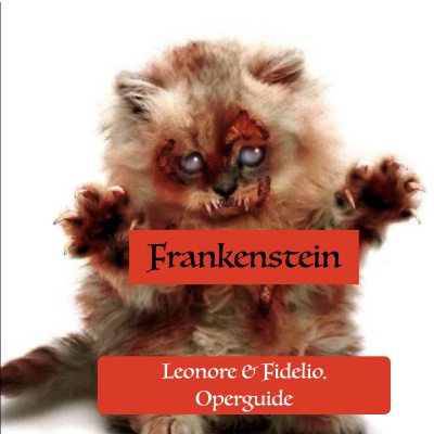 Leonore  Fidelio