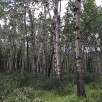 Making the Word Flesh Part 1: The Word at Work