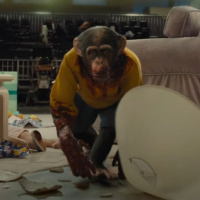 #121 | Terror elevado