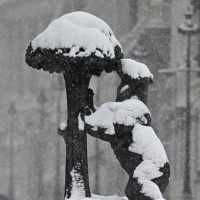 #98 | El invierno de nuestro descontento