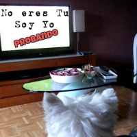 No soy Yo, eres Tu: Un nuevo comienzo