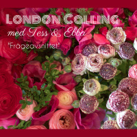 Avsnitt 10 - Det Stora Frågeavsnittet