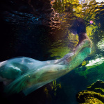 De Fotografia Y Otras Quimeras