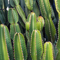 Freedom + Ease: Episode 2