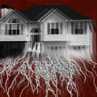 DNL! Episode 201 : Cast of Carrier