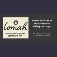 #95-School Services to Adult Services