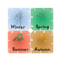 Is Failure The Greatest Attribute To Your Success? Laws of Polarity  Duality